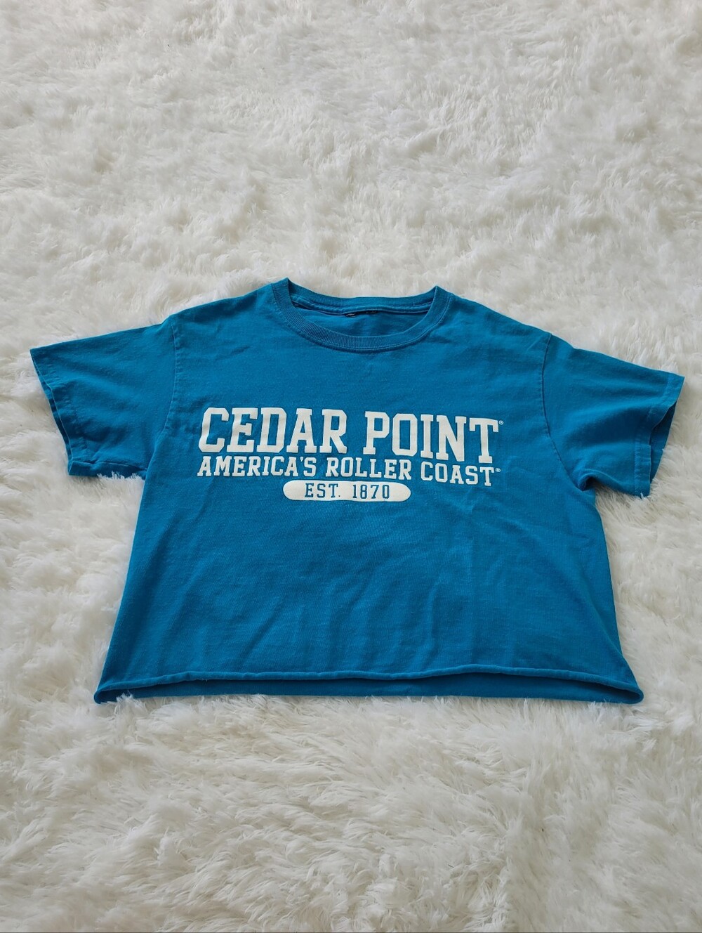 Blue Cedar Point Crop Top | Size Small